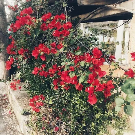 Holiday home Can Bisbal Finca Am Meer Pollenca